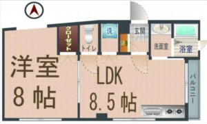 新高円寺10分賃貸マンションフルリノベーション間取り