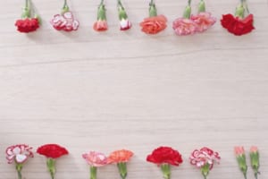 久しぶりに一人暮らしをされる女性のお客様