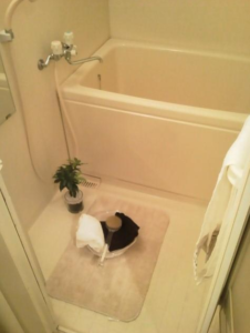 スペーシア高円寺Ⅰ 908 　浴室バスタブ