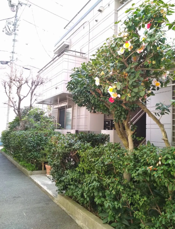 1階の賃貸物件　安全性　生活　女性の一人暮らし