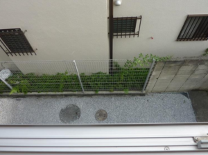 フェアコート鷺宮　206　窓から見た1階