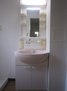 アルカディア中野Ⅲ 205 独立洗面台