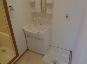 中野徒歩10分新井１　賃貸マンション　独立洗面台