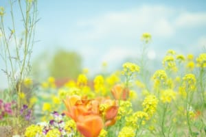 笑顔の素敵な女性のお客様