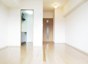 中野桃園シティハウス412　室内ドアとキッチンスペース