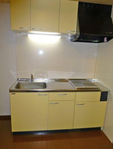 ウォーブラー南阿佐ヶ谷 204 システムキッチンIHクッキングヒーター二口コンロ