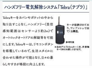 デュオステージ鷺ノ宮　219　ハンズフリー電気解除システム