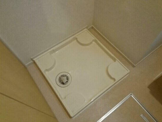  (内装)