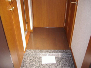 トーシンフェニックス中野新橋パインアイル502 　玄関口廊下